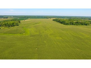 Property photo 20 - LAND AUCTION - 1,193+/- ACRES IN 14 TRACTS IN PIKE & GIBSON COUNTY, INDIANA